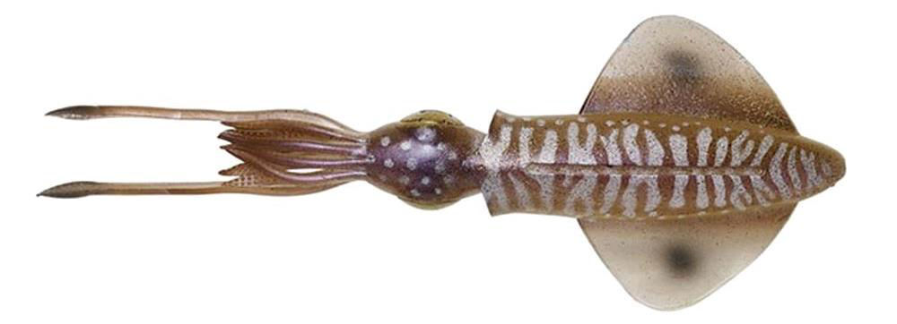 Savage Gear 3D Swim Squid 25 cm 86 gr 1 pcs