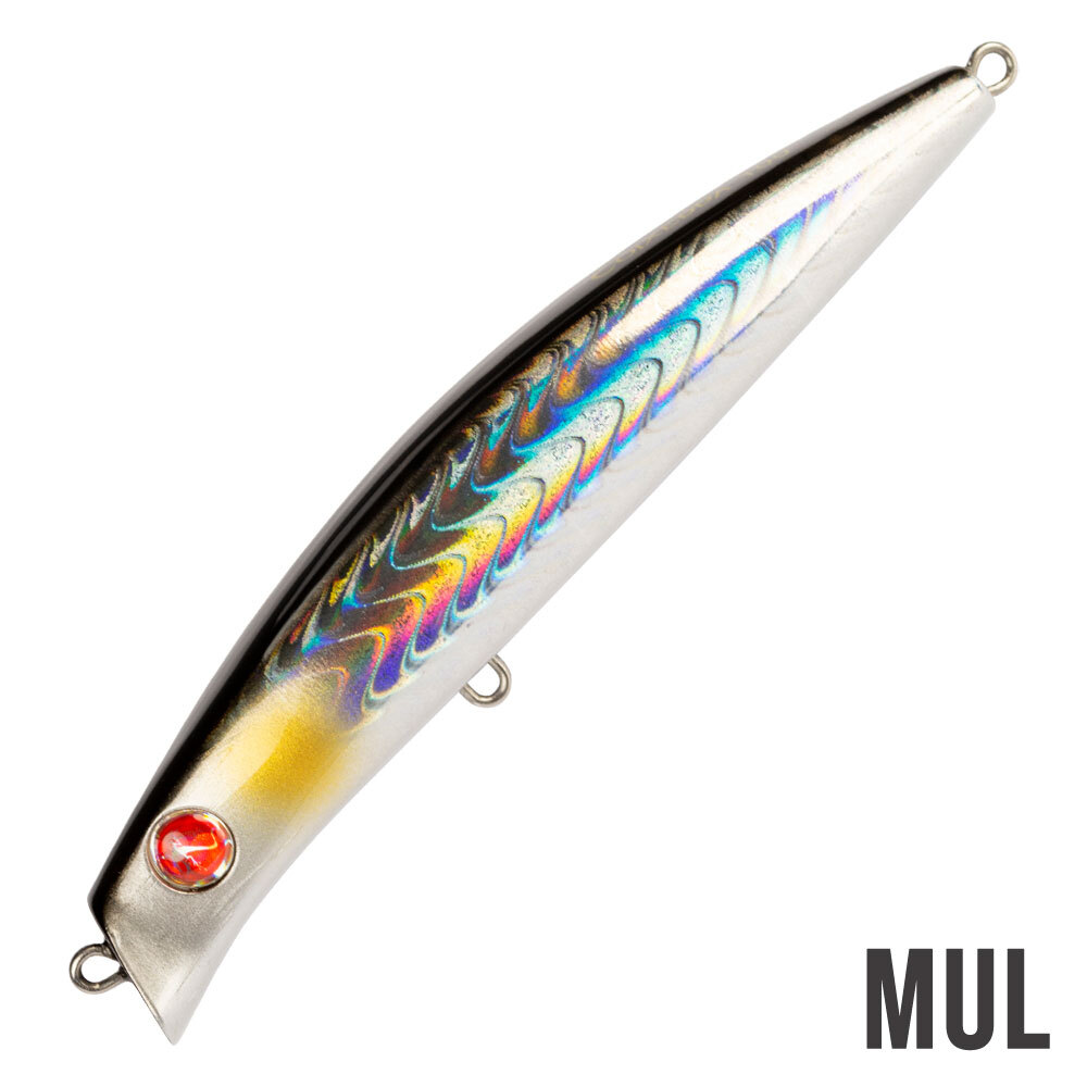 Seaspin Coixedda 100 - 10cm - 16gr - (Slow Sinking)