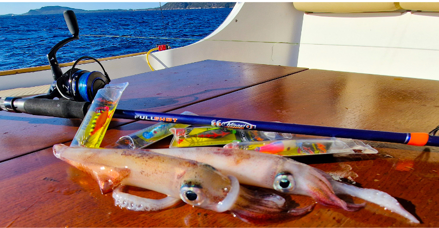 Colmic Misaki Oppai 50 mm