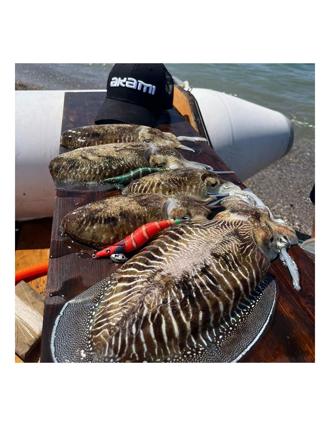 Akami Sakana Slow Sinking #3.5