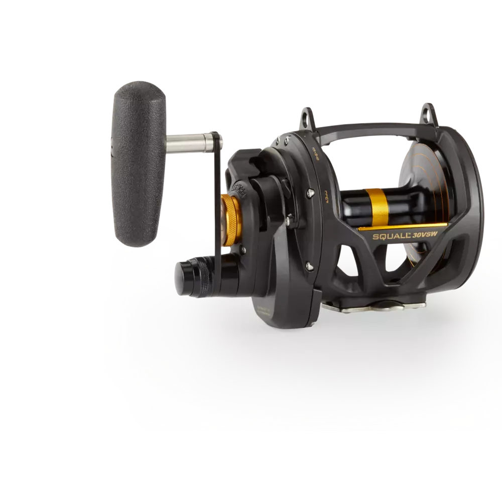 Penn Squall VS 2 Speed