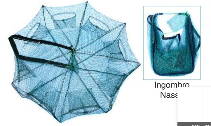 Nassa Rotonda Richiudibile 8 Ingressi