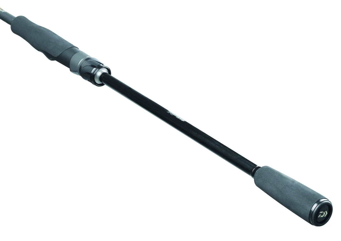 Daiwa 25 Exceler Spininng