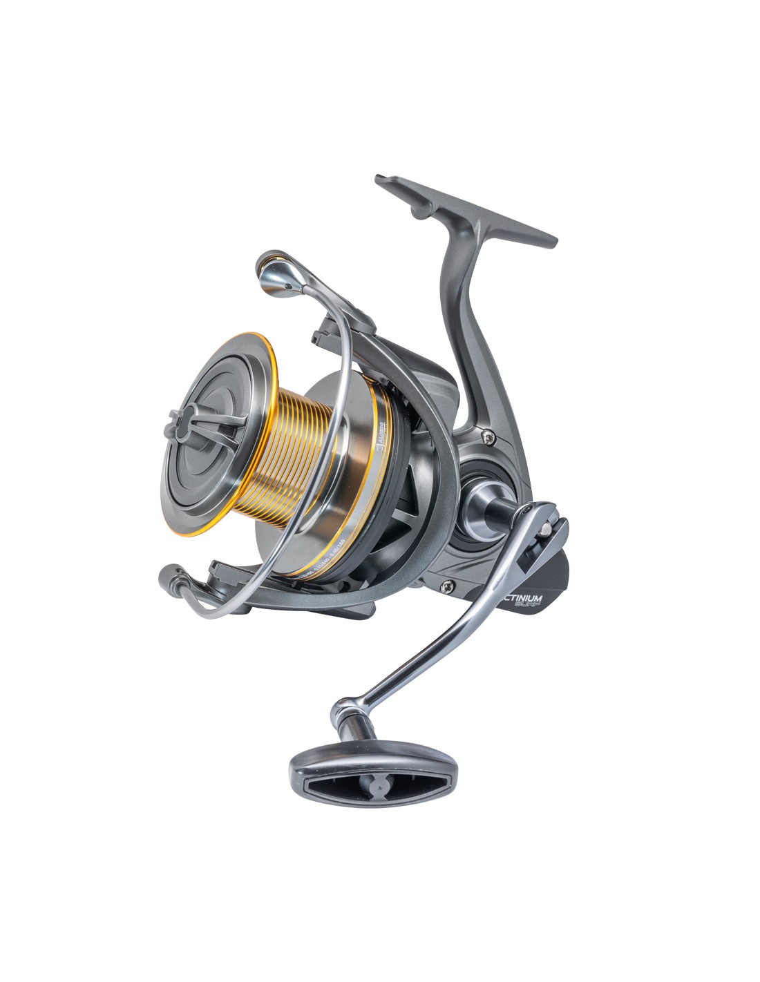 Alcedo Actinium Surf