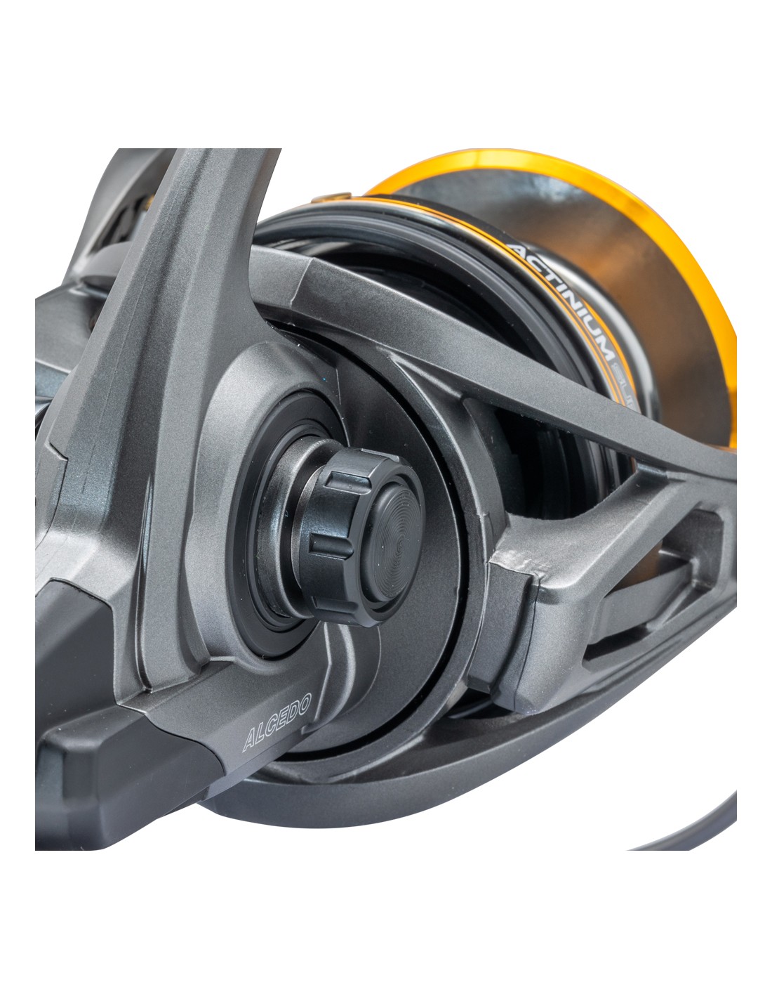 Alcedo Actinium Surf