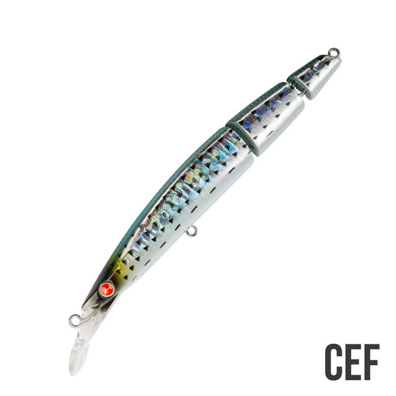 Seaspin Buginu 115 Bìu